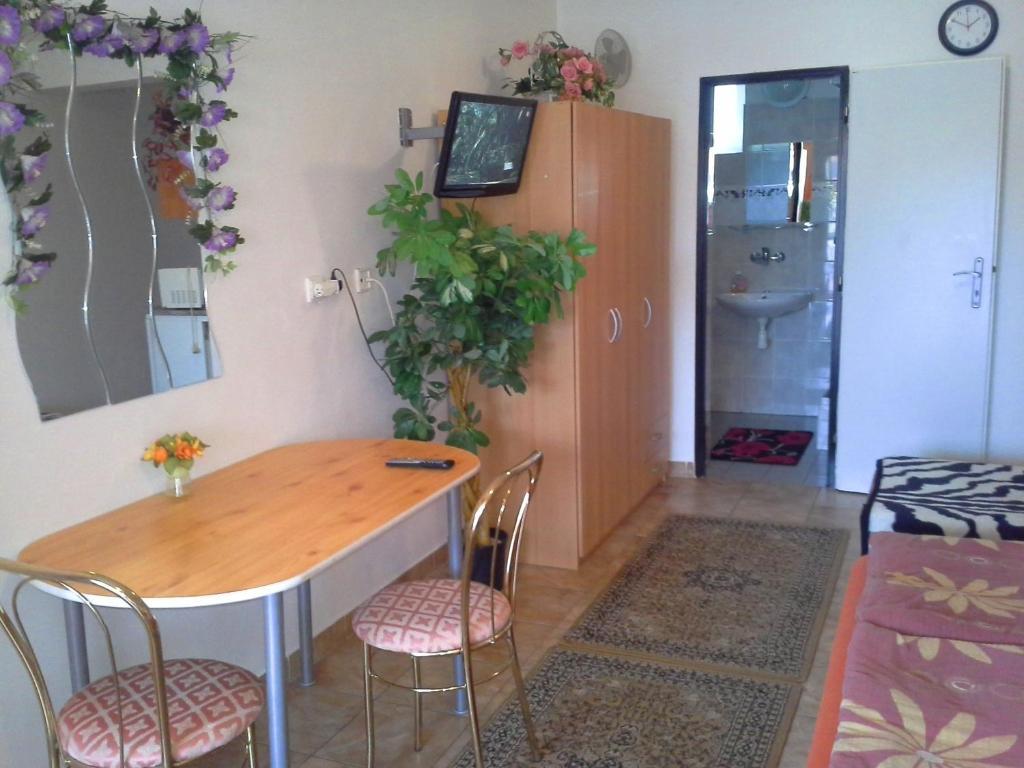 Studio Florida Štúrovo 部屋 写真